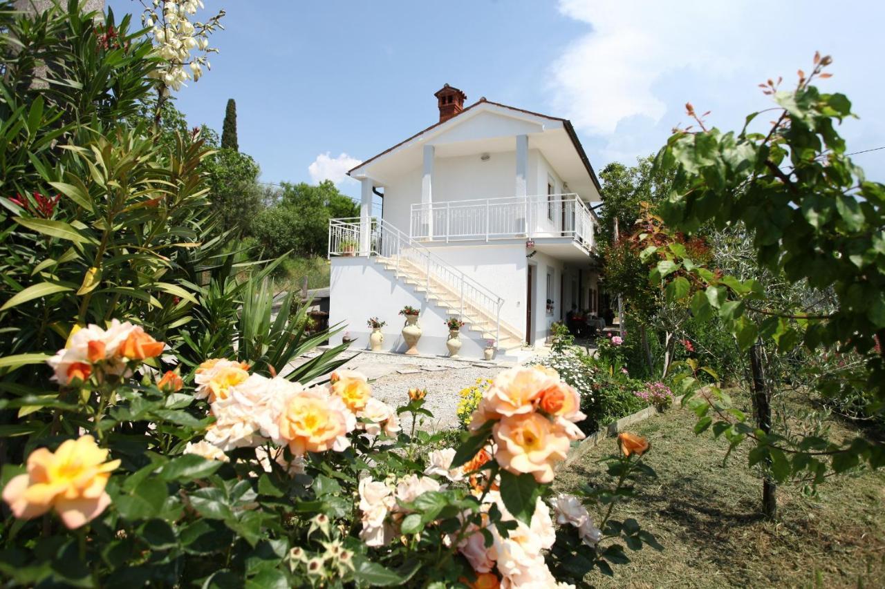 Apartment Gorgo Secovlje Exterior photo